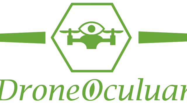 Company Logo – transparent expanded green