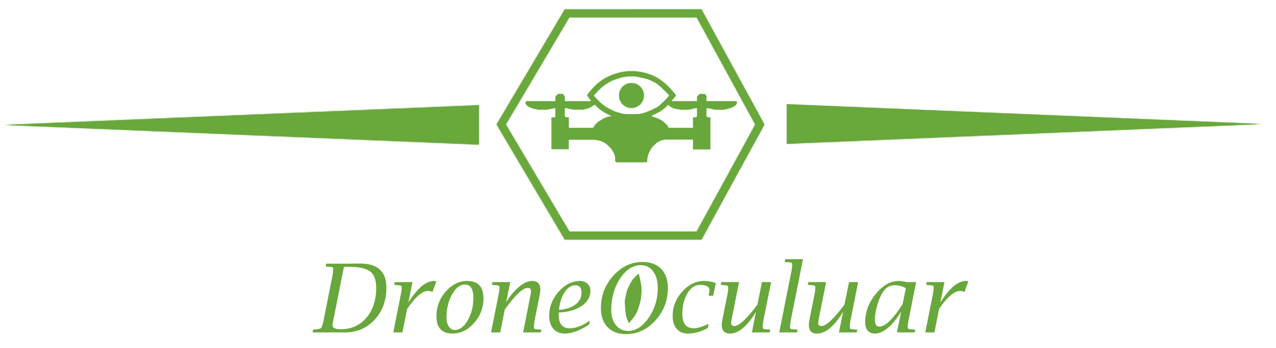 Company Logo – transparent expanded green